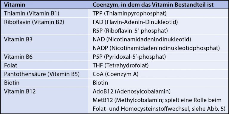Abbildung 1: B-Vitamine und ihre coenzymatische Form