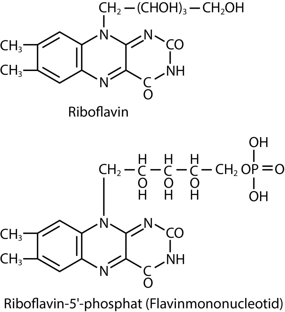 Abbildung 7: Strukturformeln von Riboflavin und der aktiven Coenzym-Form Riboflavin-5’-phosphat (FMN)
