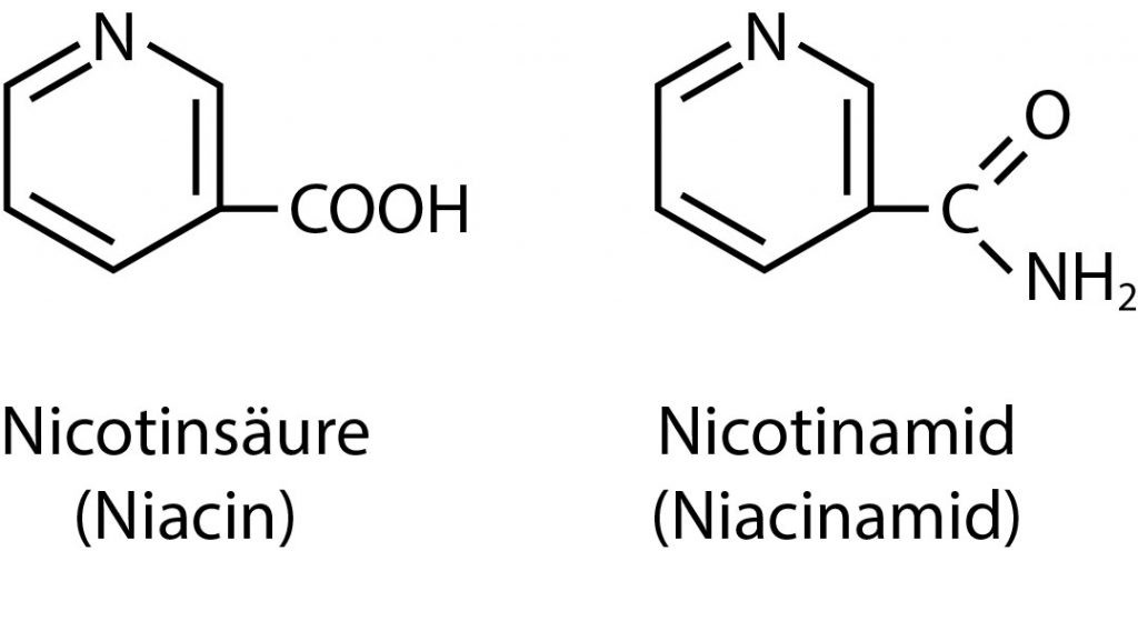 Vitamin B3 als Niacin und Niacinamid