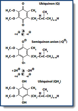 Structuurformules Structuurformules